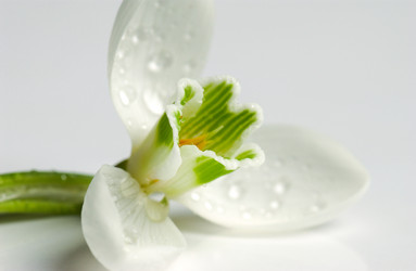 Similar image 21128941