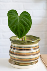 Similar image 21086277