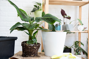 Similar image 21086282