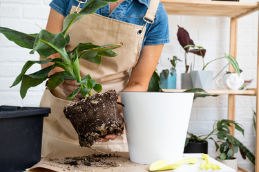 Similar image 21086283