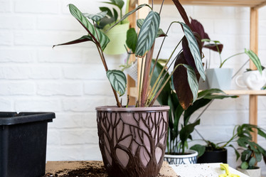 Similar image 21086290