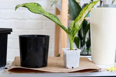 Similar image 21086295