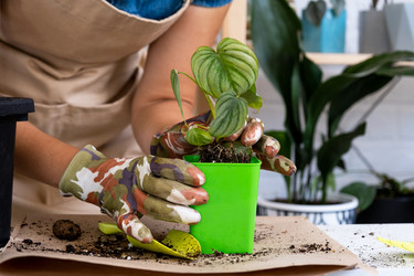 Similar image 21086298