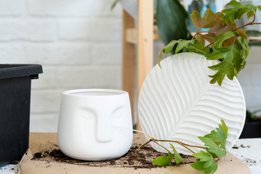 Similar image 21086302