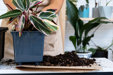 Similar image 21086304