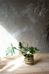 Similar image 21086309