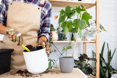 Similar image 21086312