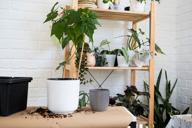 Similar image 21086313