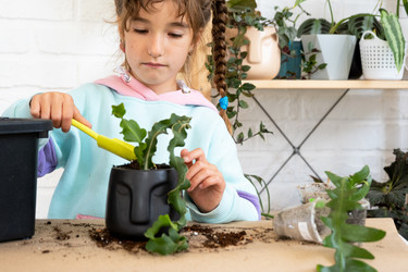 Similar image 21086317