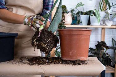 Similar image 21086320