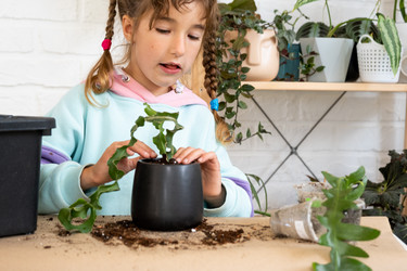 Similar image 21086321