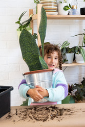 Similar image 21086323