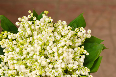 Similar image 21129264