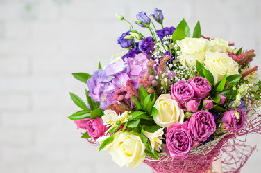 Similar image 21129270