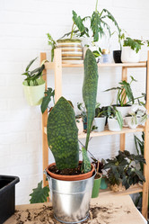 Similar image 21086398