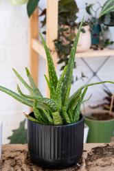 Similar image 21086400