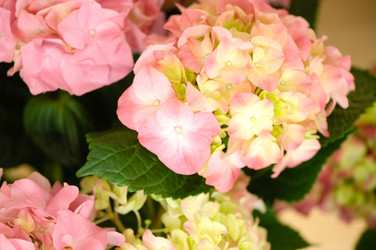 Similar image 21129051