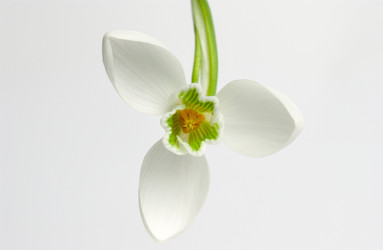 Similar image 21129052