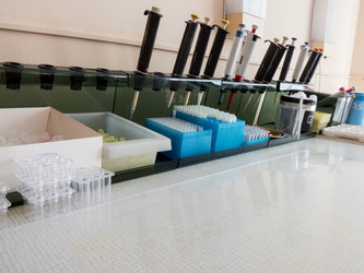 Similar image 21129276