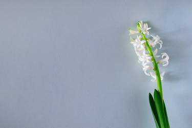 Similar image 21084571