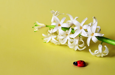 Similar image 21084573