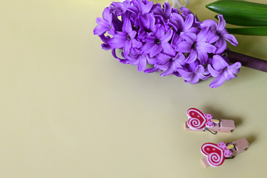 Similar image 21084575