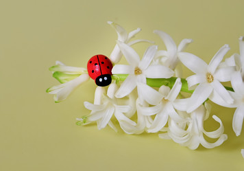 Similar image 21084578