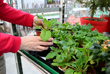 Similar image 21084581