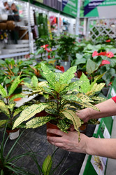 Similar image 21084583