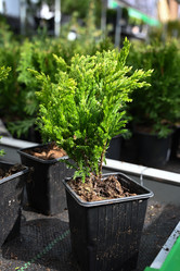 Similar image 21084723