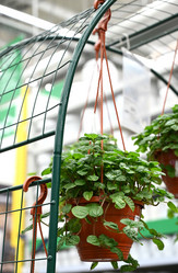 Similar image 21084727