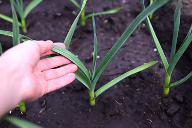 Similar image 21084739