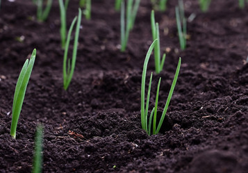 Similar image 21084742