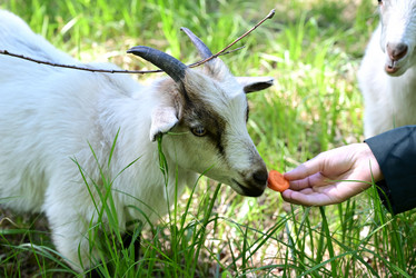 Similar image 21084743