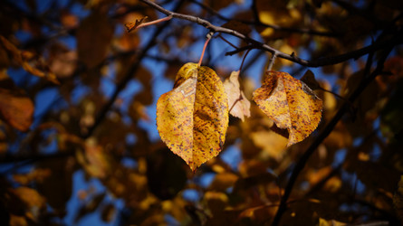 Similar image 21087614