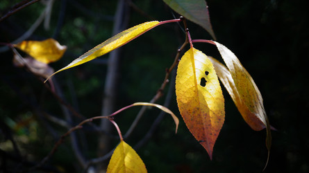 Similar image 21087615