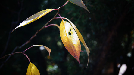 Similar image 21087616