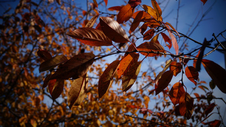 Similar image 21087617