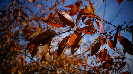 Similar image 21087618