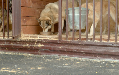 Similar image 21083906