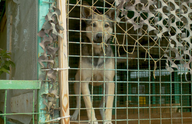 Similar image 21083907