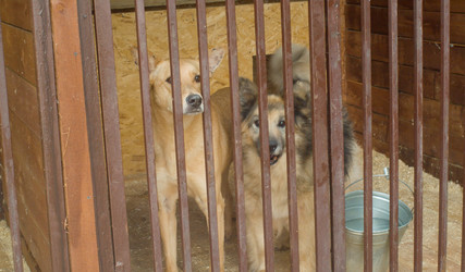 Similar image 21083909