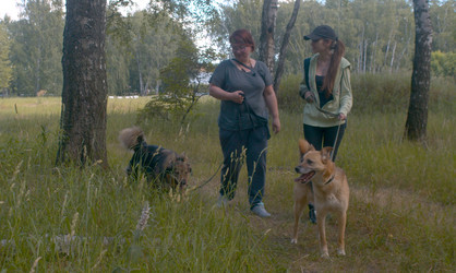 Similar image 21084745