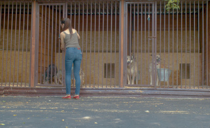 Similar image 21084758