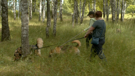 Similar image 21084762