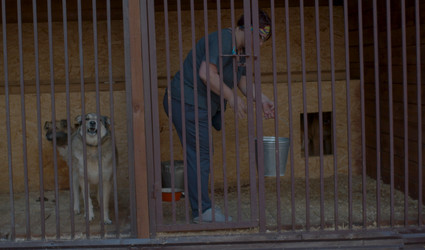 Similar image 21084764