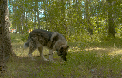 Similar image 21083912