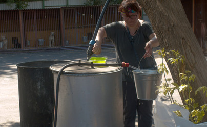 Similar image 21083913