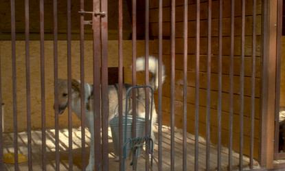 Similar image 21083914