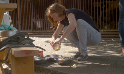 Similar image 21084769